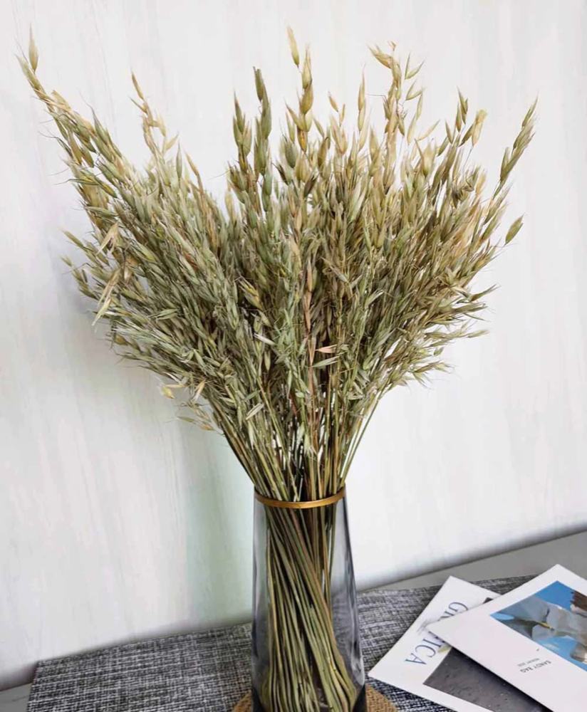 Dried Plants - Dried Grasses - Dry Flowers & Plants