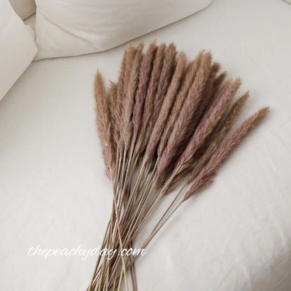 Dried Pampas Grass Brown Bunch home decor wedding bouquet flower arrangements boho minimal farmhouse home decor