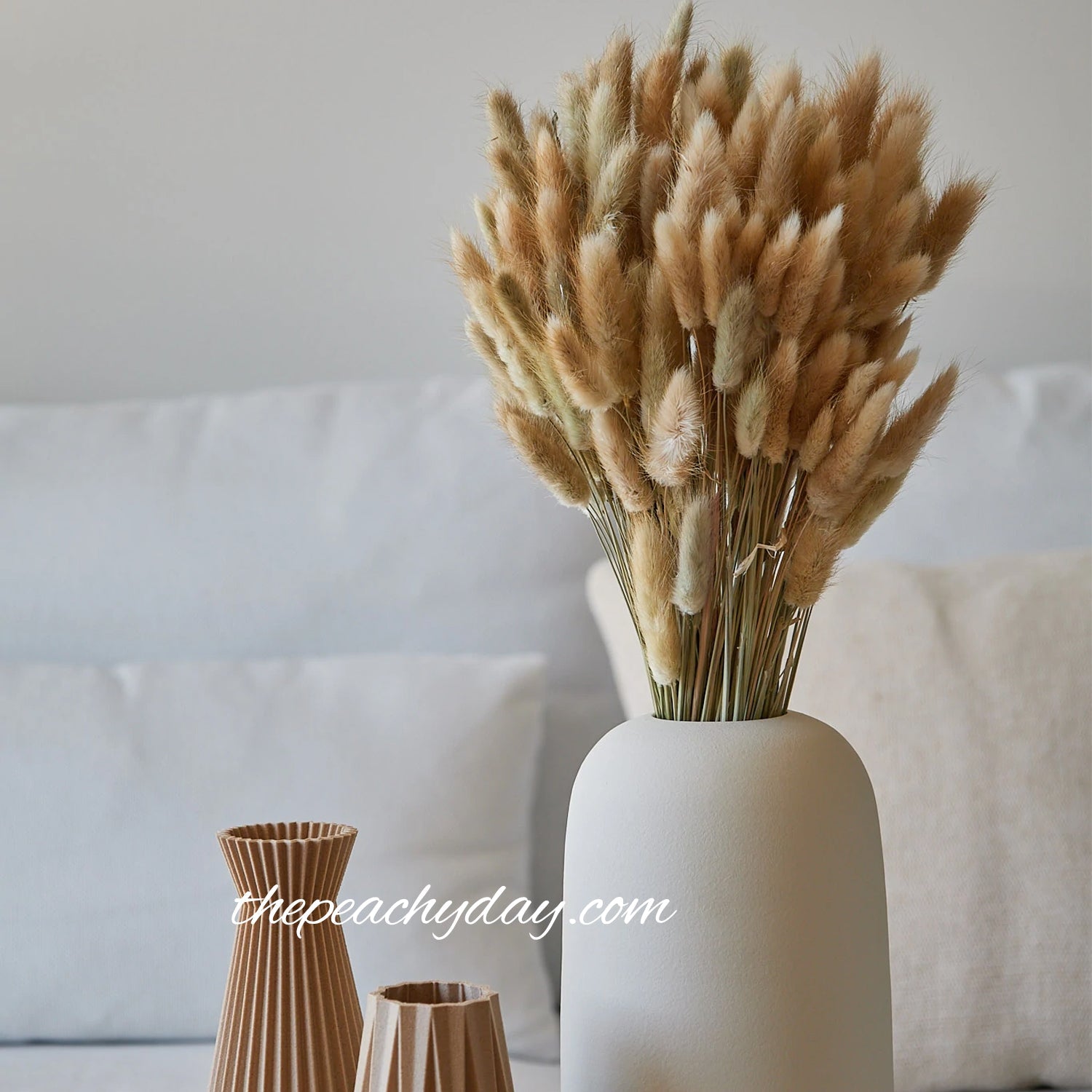 Dried Bunny Tails Natural Bunch home decor wedding bouquet flower arrangements boho minimal farmhouse home decor