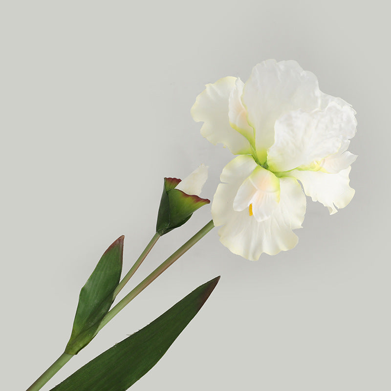 Faux Silk Iris 30“ | 5 Colors