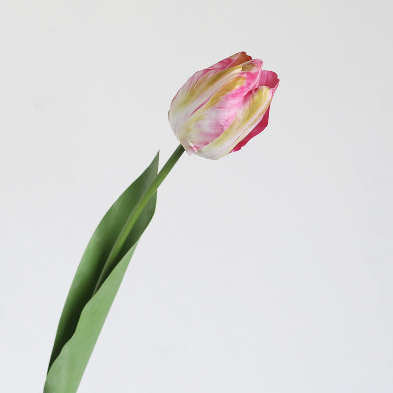 21.6" Silk Tulip Flower Stem | 3 Colors