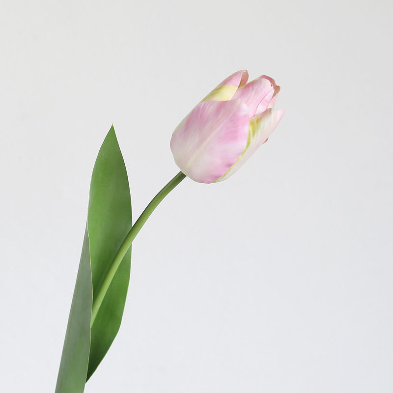 21.6" Silk Tulip Flower Stem | 3 Colors