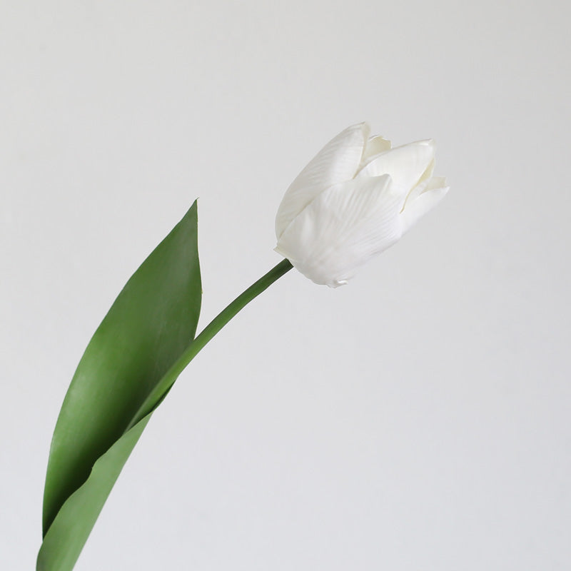 21.6" Silk Tulip Flower Stem | 3 Colors