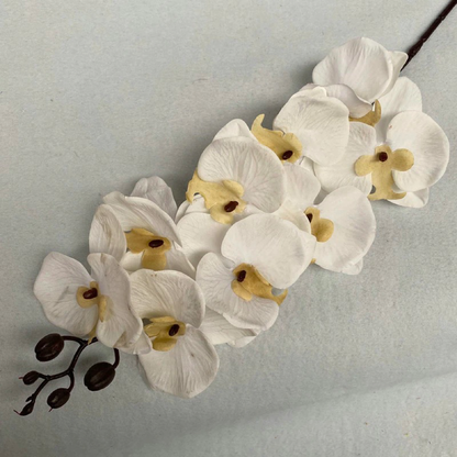 37.4" Faux Silk Orchids | 11 Colors