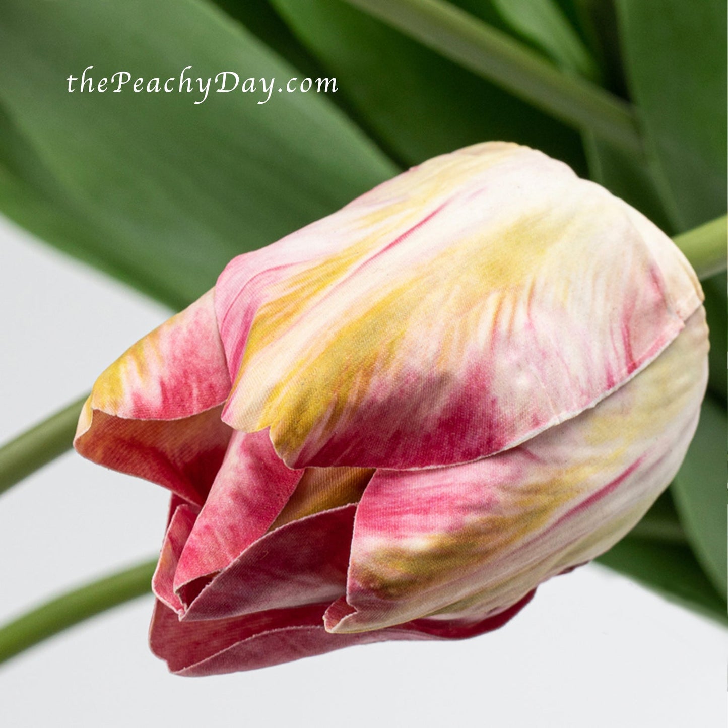 21.6" Silk Tulip Flower Stem | 3 Colors