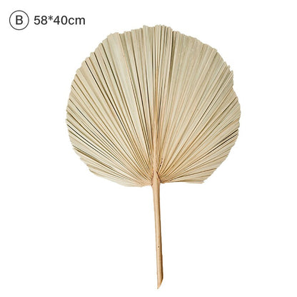 Dried Palm Leaves