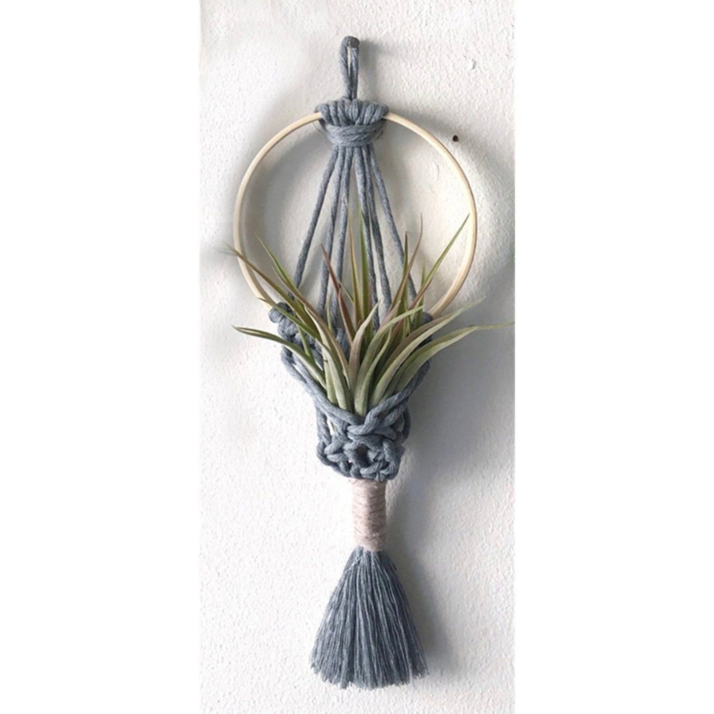 Wall Hanging Macrame Air Plant Hanger