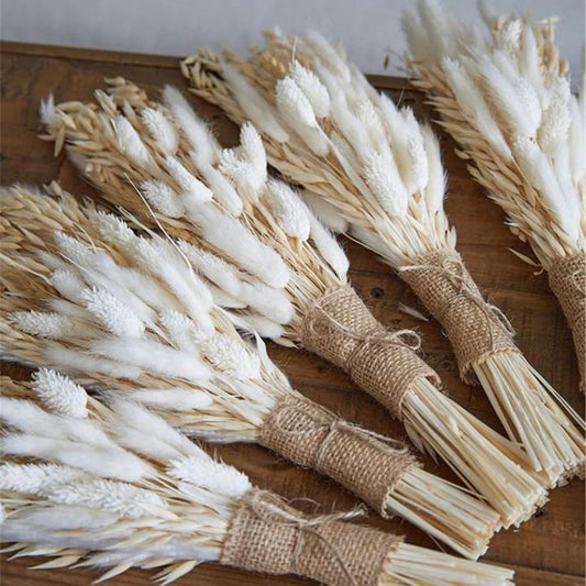 Dried Pampas Bunny Tail Bouquet 17"