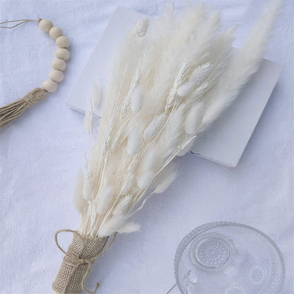 Dried Pampas Bunny Tail Bouquet 17"