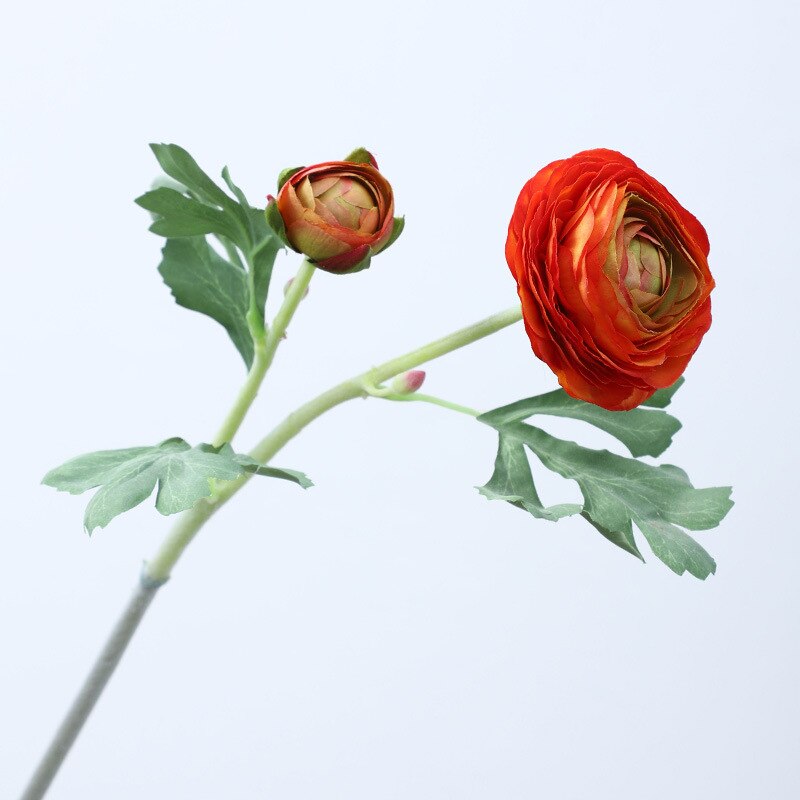 5 Stems Faux Ranunculus 20.4" | 4 Colors