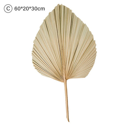 Dried Palm Leaves