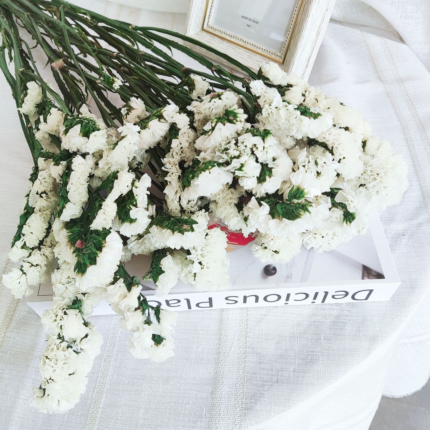 White Ivory Dried Flowers & Grasses