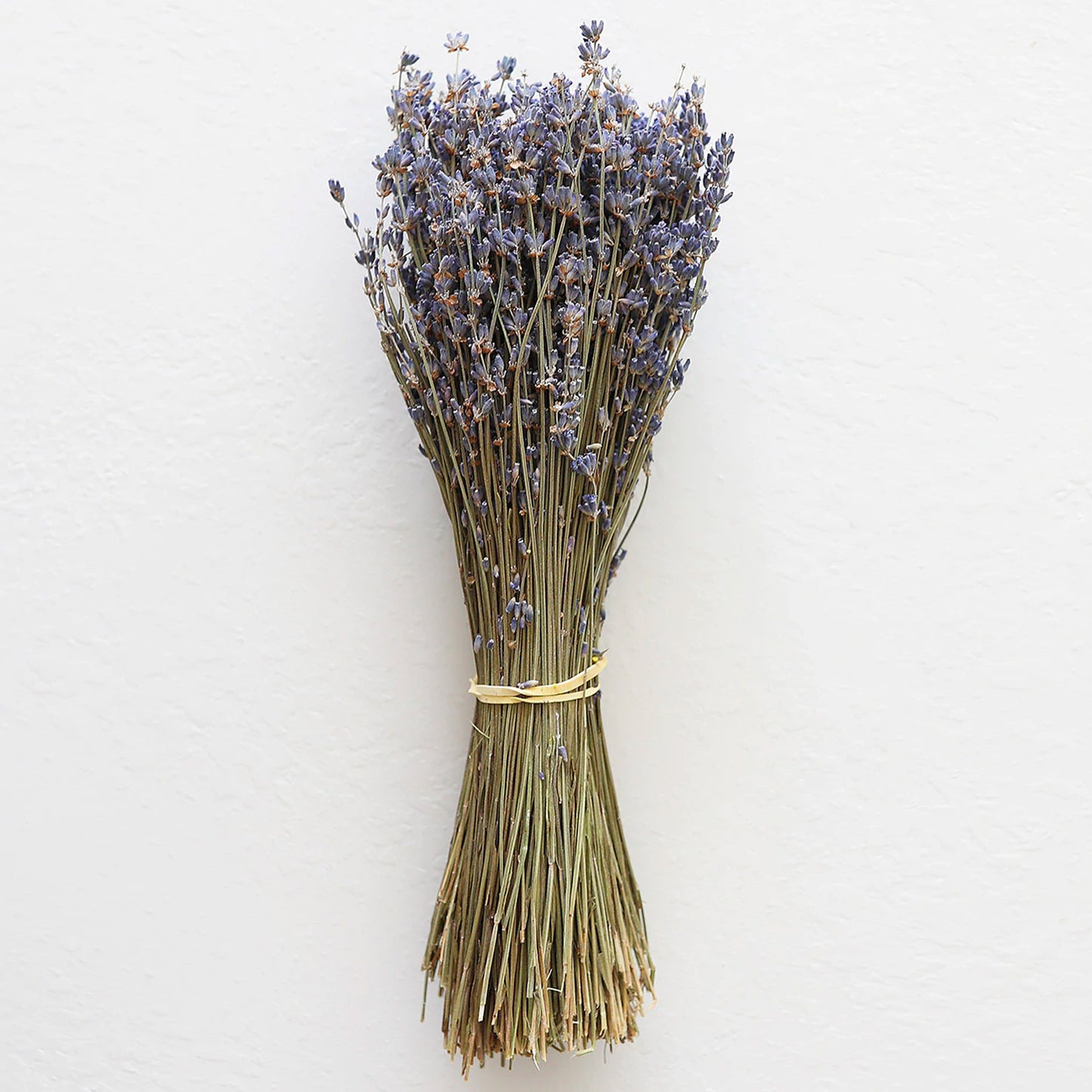 Dried Fragrant Lavender Bundle | 2 Colors