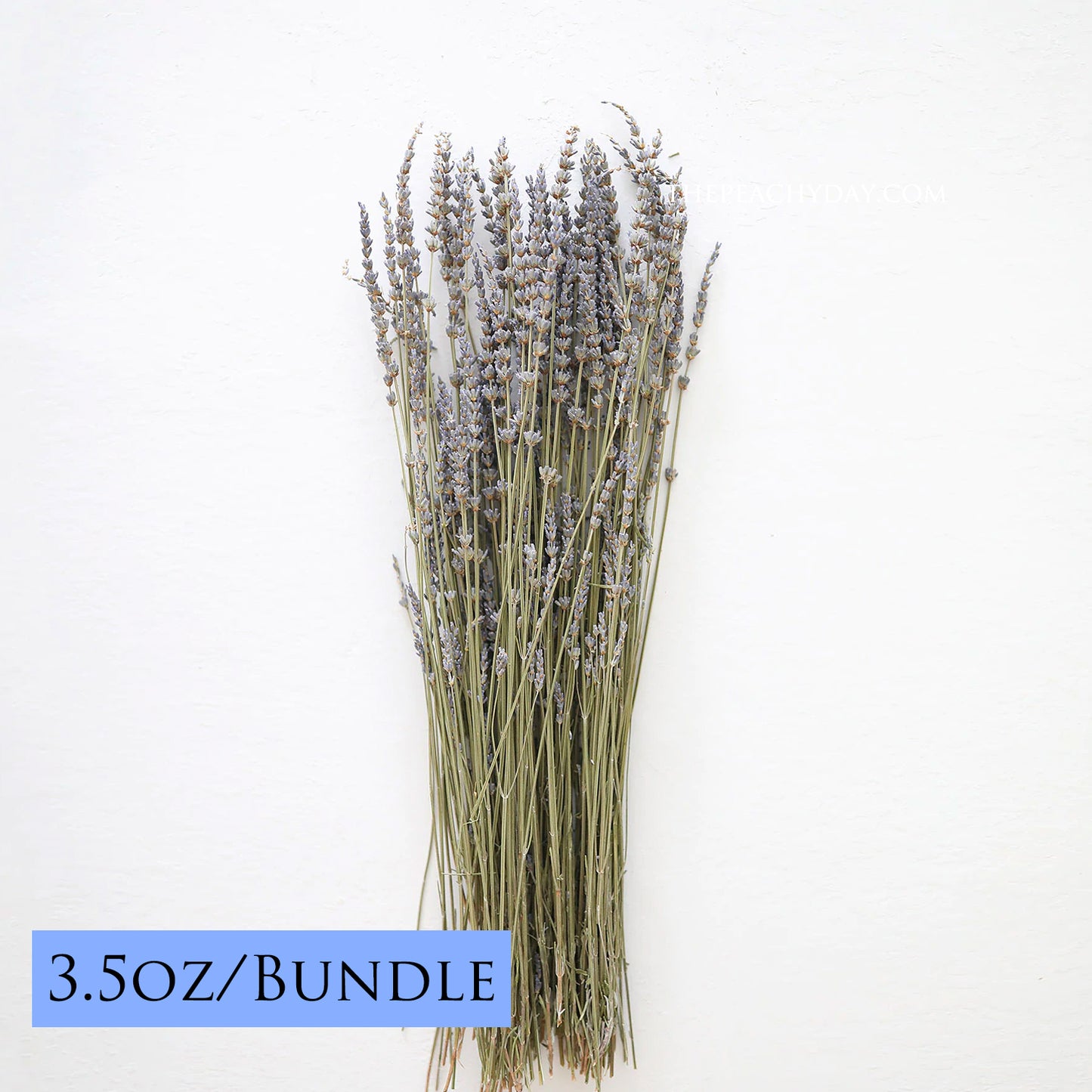 Dried Fragrant Lavender Bundle | 2 Colors