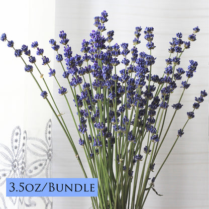 Dried Fragrant Lavender Bundle | 2 Colors