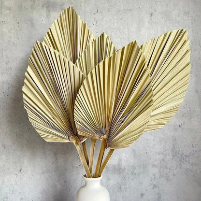 4 Stems Natural Dried Palm Leaves 15.7"