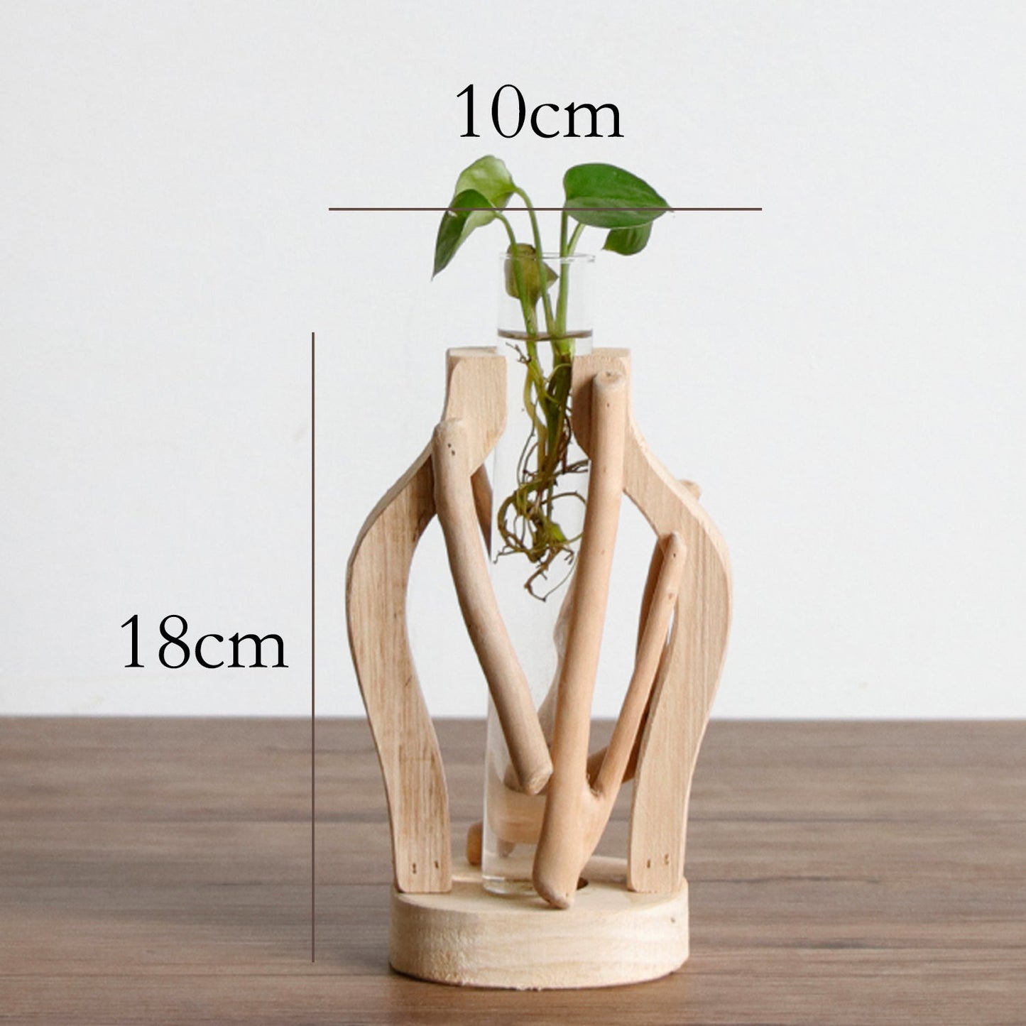 Glass Tube Vase with Wood Stand