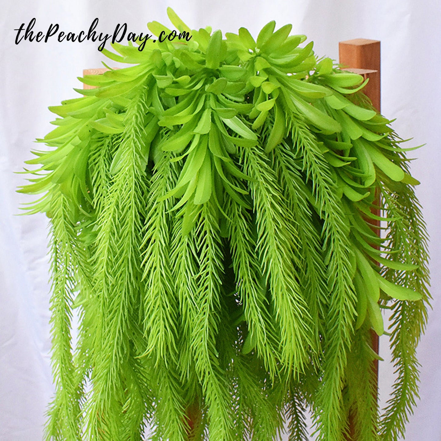 24.8" Artificial Succulent Hanging Plants