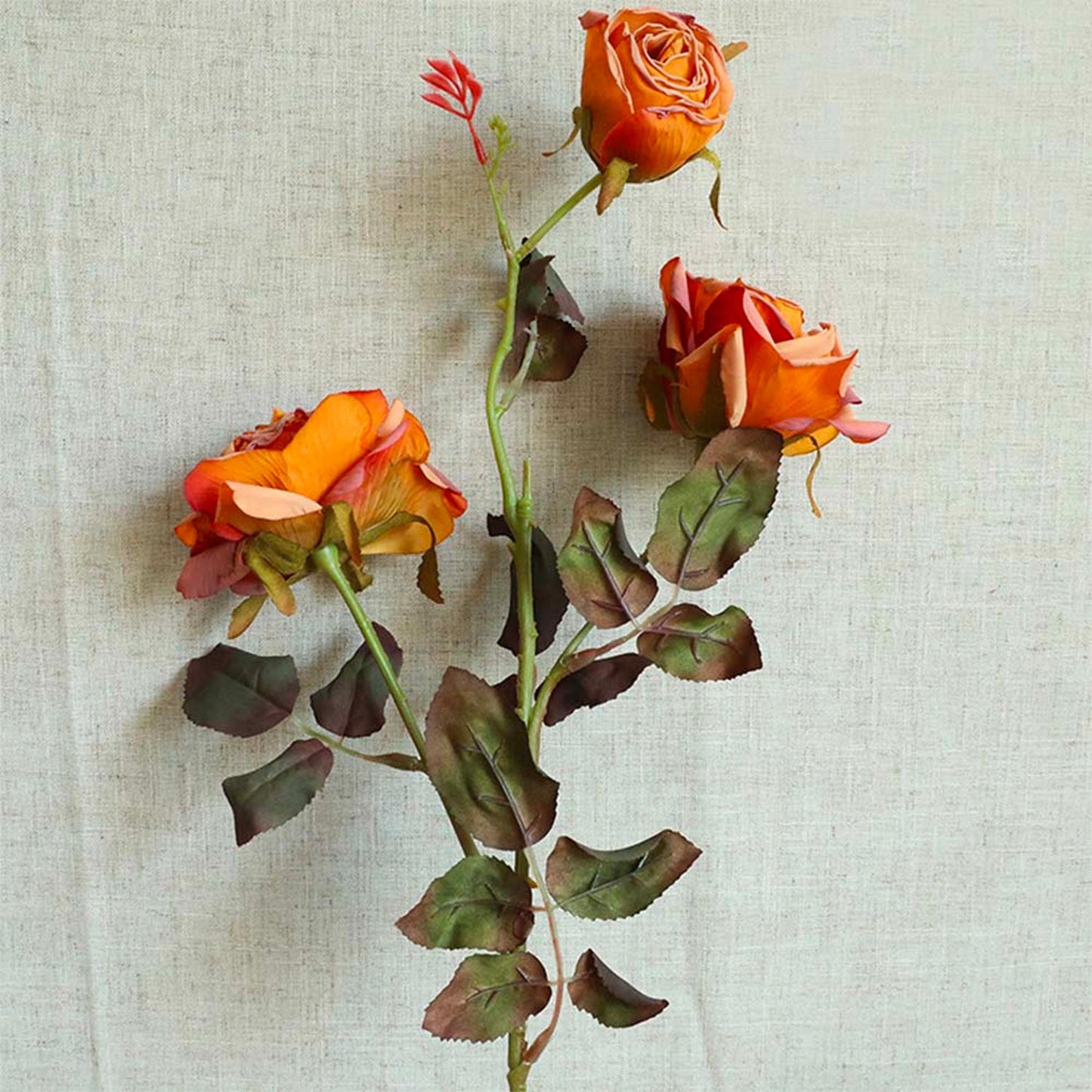 28.8" Faux Dried Rose | 5 Colors