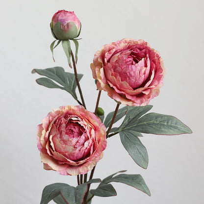 27.5" Real Touch Peony Flowers | 7 Colors