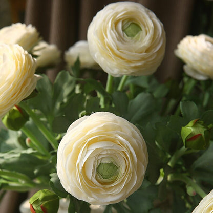 5 Stems Faux Ranunculus 20.4" | 4 Colors