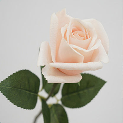 5 Stems Velvet Rose Bud 21.6" | 7 Colors