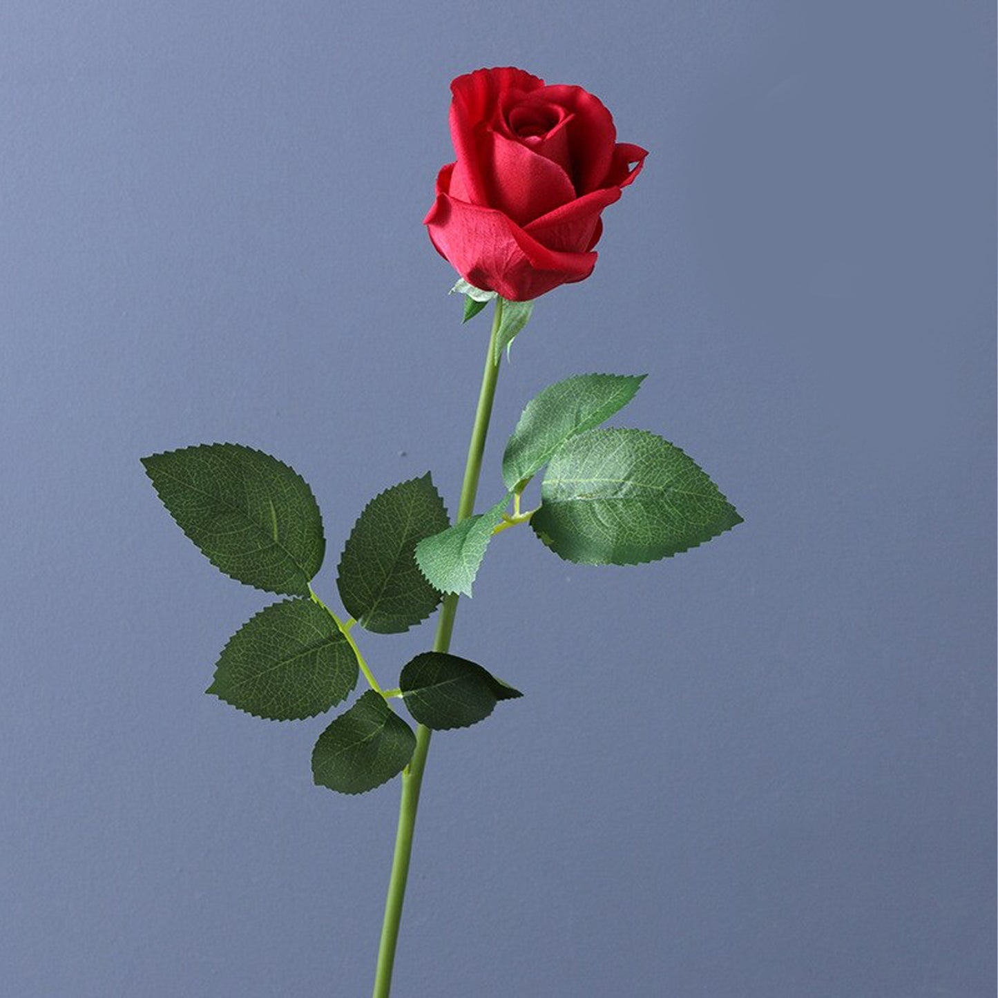 5 Stems Velvet Rose Bud 21.6" | 7 Colors