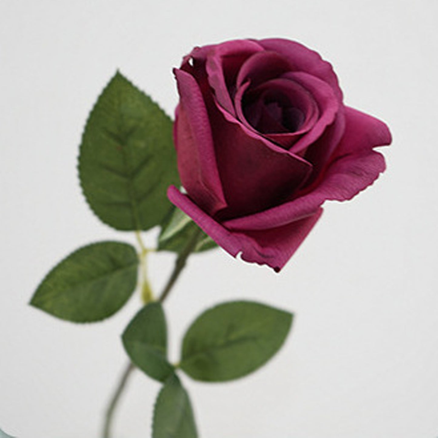 5 Stems Velvet Rose Bud 21.6" | 7 Colors