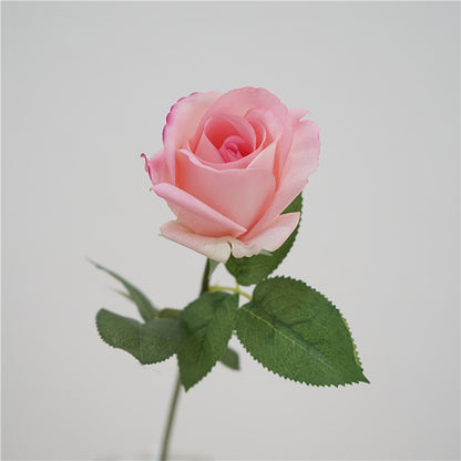 5 Stems Velvet Rose Bud 21.6" | 7 Colors