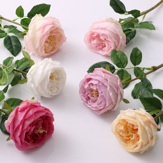 6 Stems Real Touch David Austin Rose 17.7" | 6 Colors