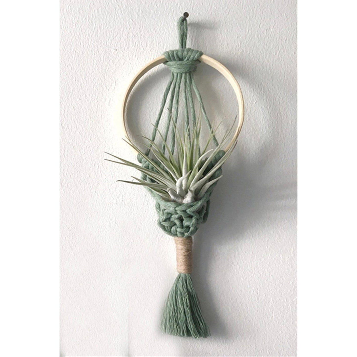 Wall Hanging Macrame Air Plant Hanger