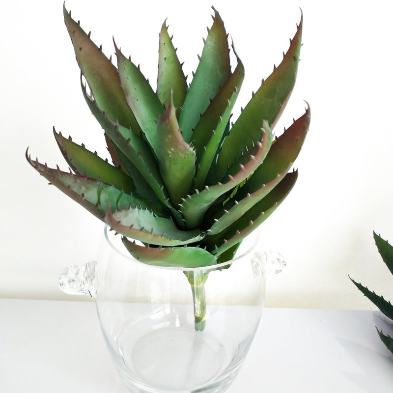 13.7" Artificial Aloe Plant | 2 Colors