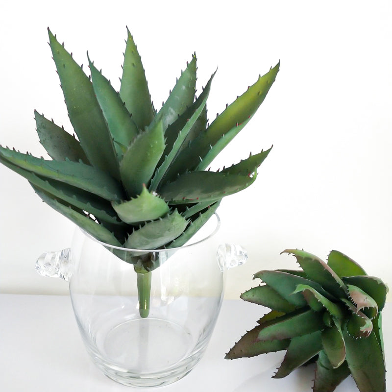 13.7" Artificial Aloe Plant | 2 Colors