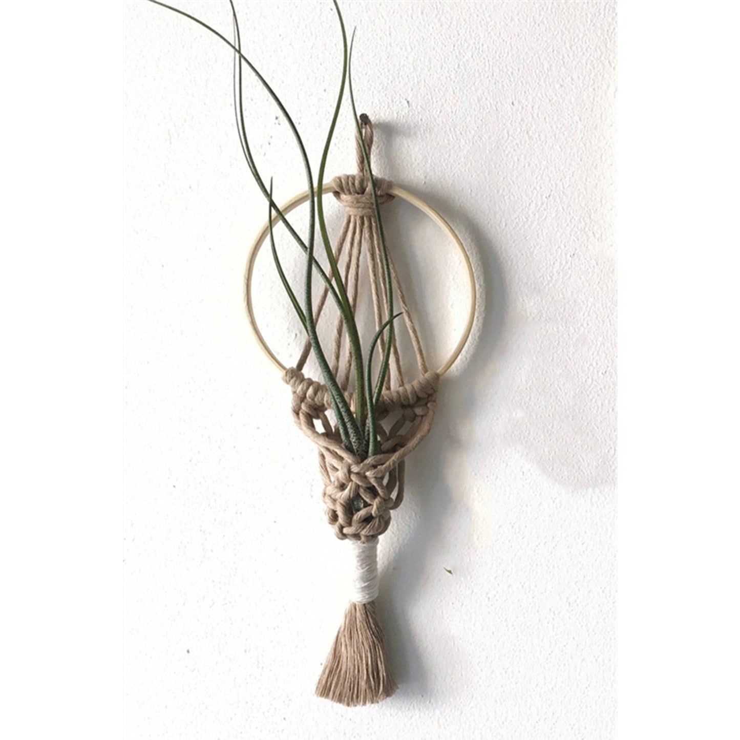 Wall Hanging Macrame Air Plant Hanger