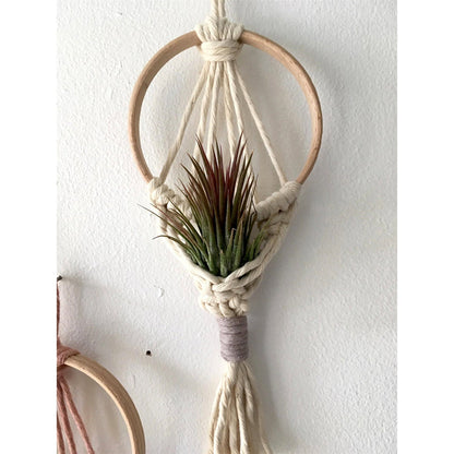 Wall Hanging Macrame Air Plant Hanger