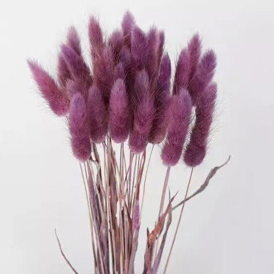 Bundle of 30 Dried Bunny Tails | 5 Purple Shades