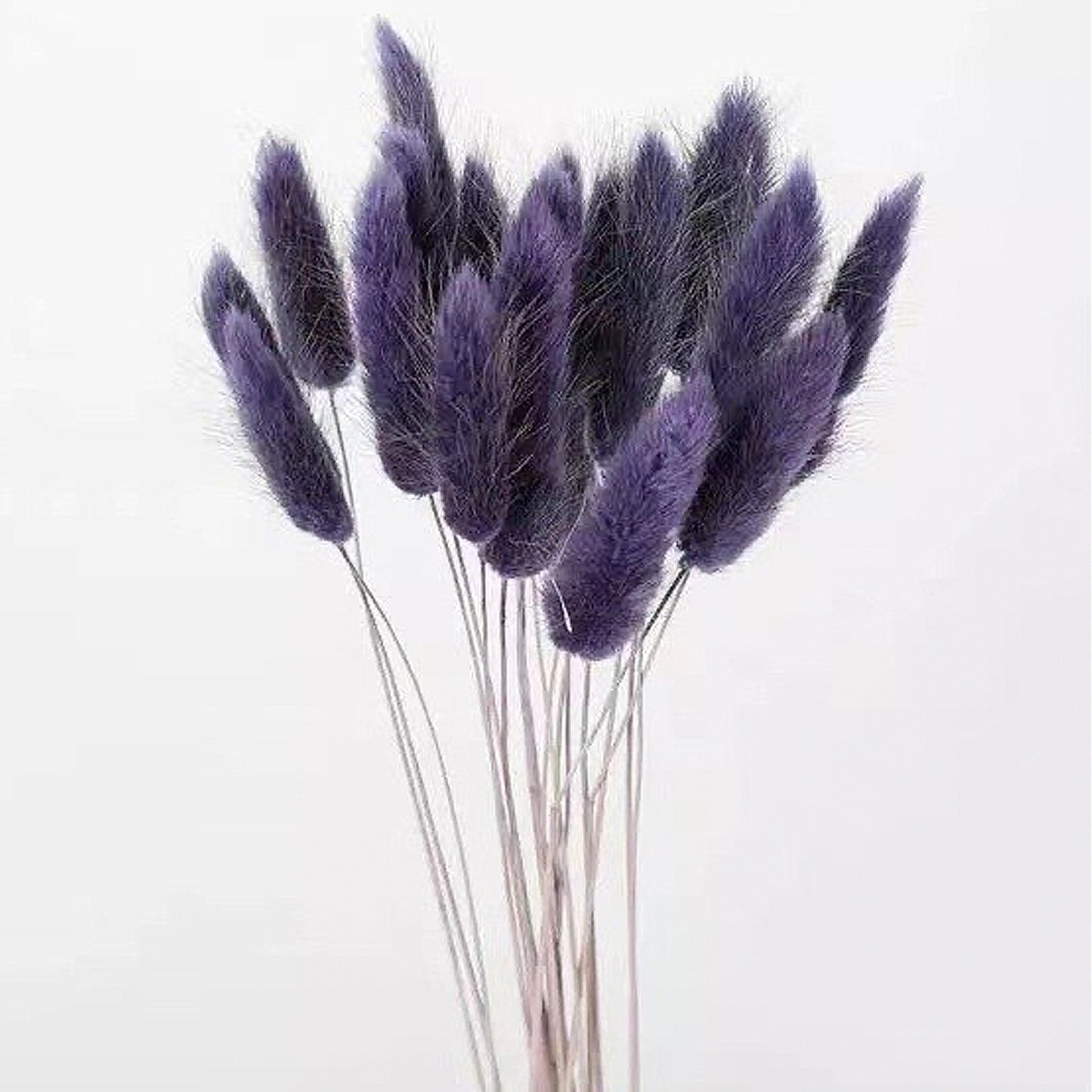 Bundle of 30 Dried Bunny Tails | 5 Purple Shades