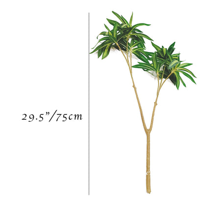 29.5" Dracaena Fragrans Branch