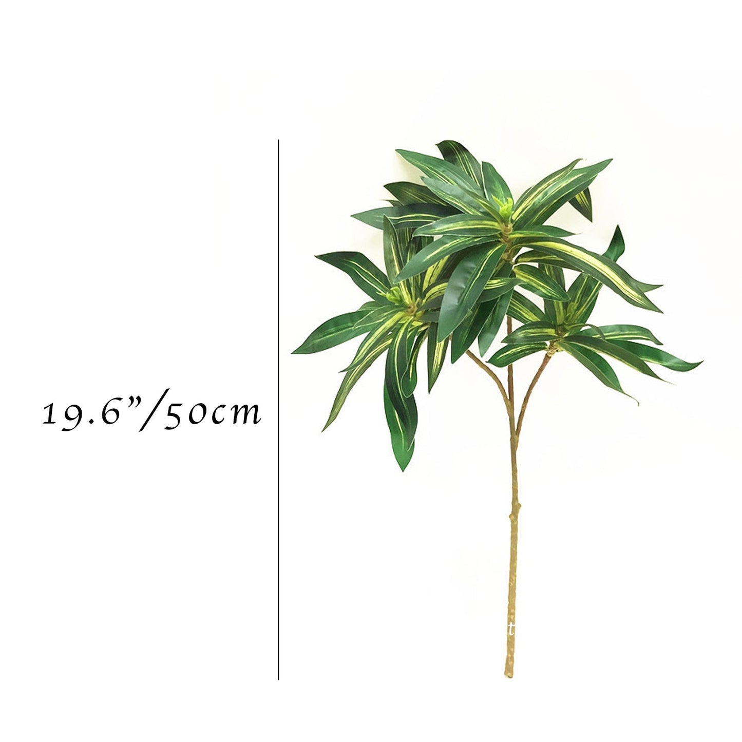 29.5" Dracaena Fragrans Branch