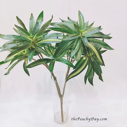 29.5" Dracaena Fragrans Branch