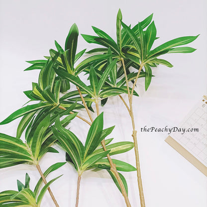 29.5" Dracaena Fragrans Branch