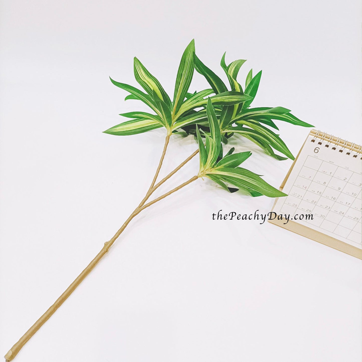 29.5" Dracaena Fragrans Branch