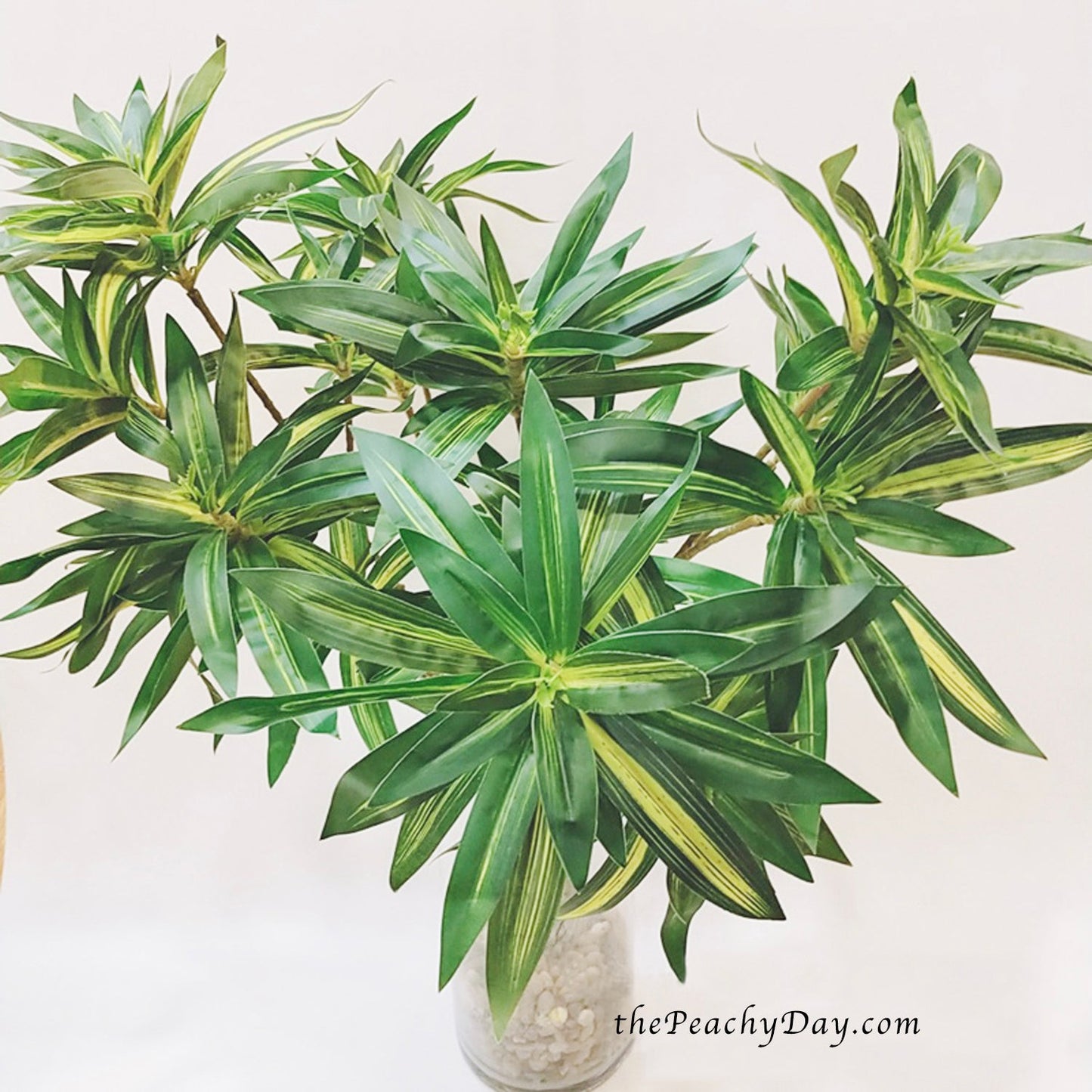 29.5" Dracaena Fragrans Branch