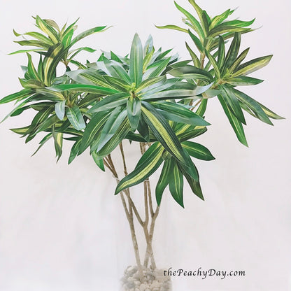 29.5" Dracaena Fragrans Branch