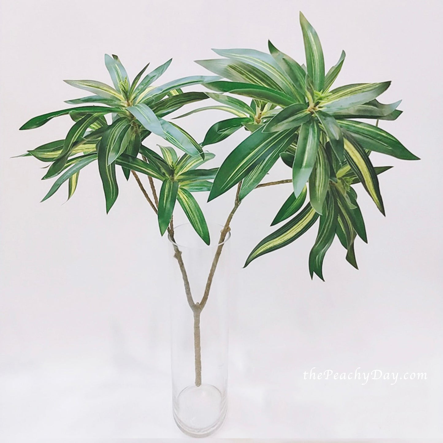 29.5" Dracaena Fragrans Branch