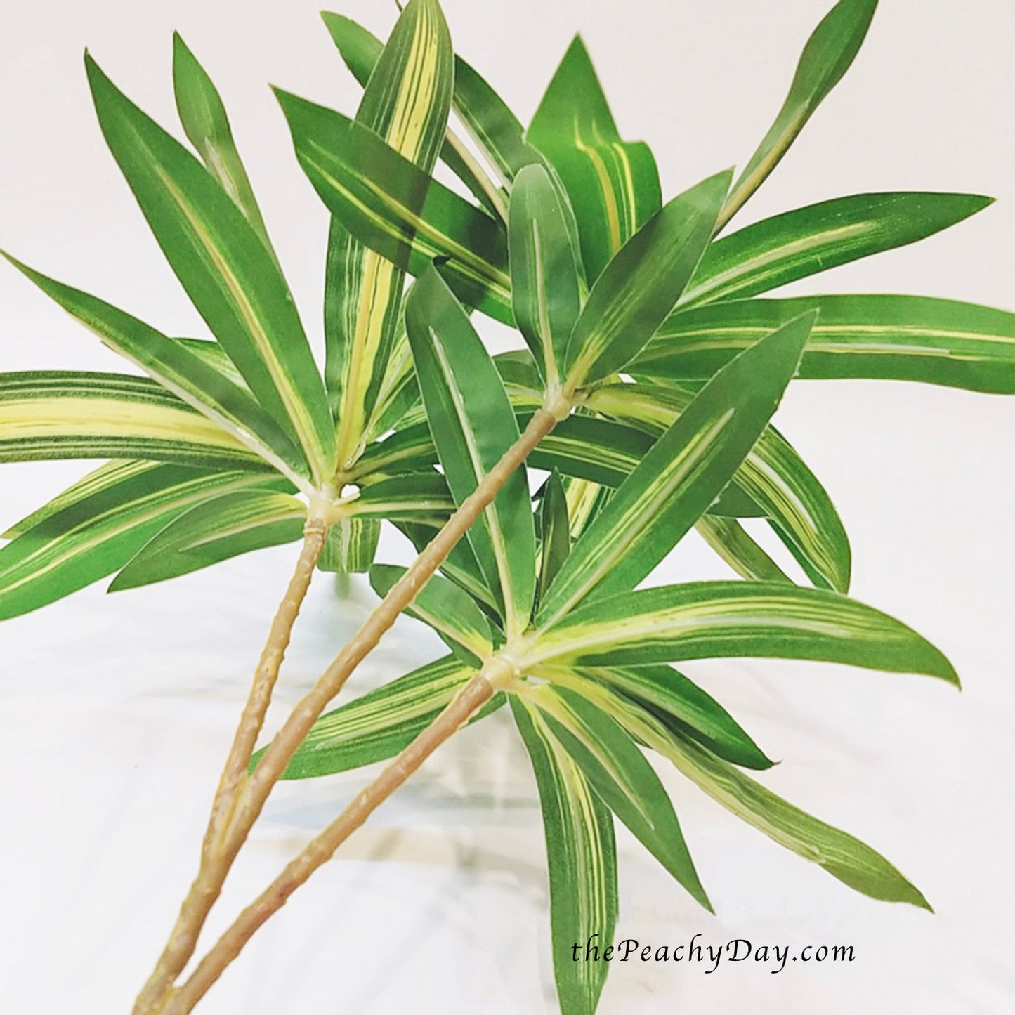 29.5" Dracaena Fragrans Branch