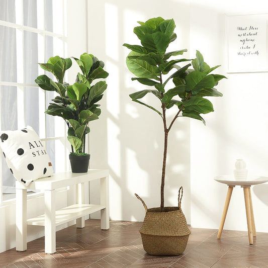 tall fake plant fake plant large faux fiddle leaf fig tree fake fiddle leaf tree fake plants faux fig tree Lyrata Tree indoor home plant ikea fake plants