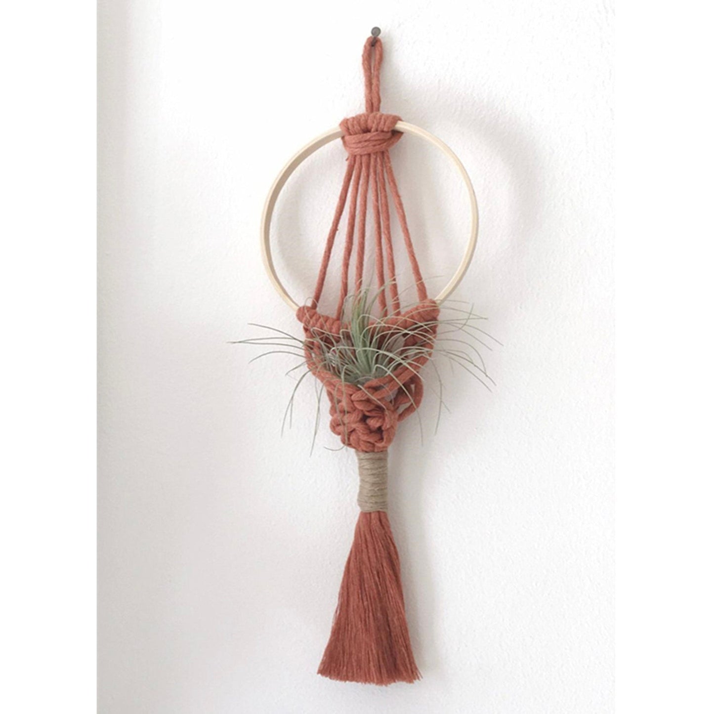 Wall Hanging Macrame Air Plant Hanger